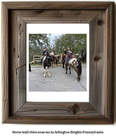 horse trail rides near me in Arlington Heights, Pennsylvania